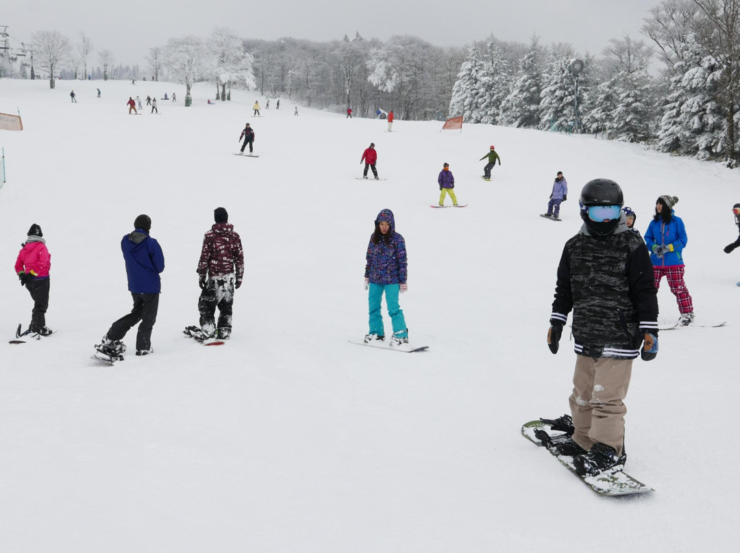 Mizuho Highland-邑南町必去景点