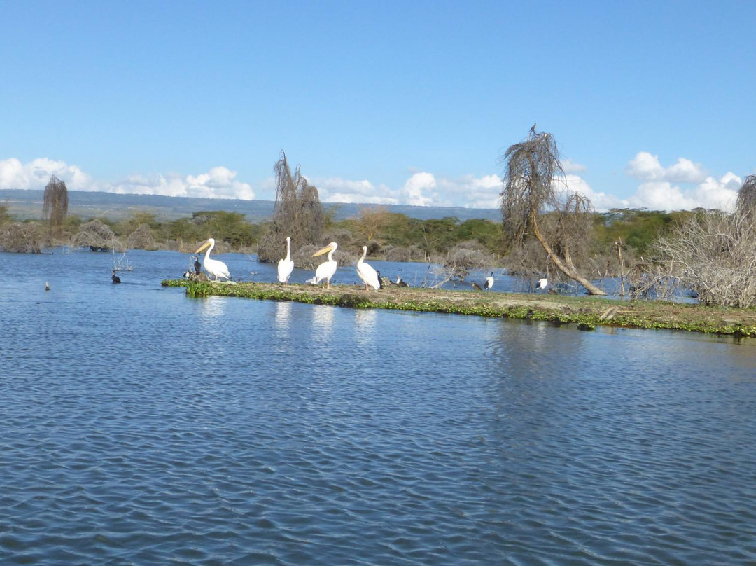 Lake Oloidien景点图片