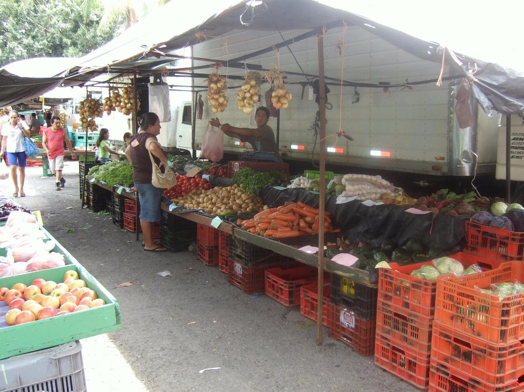 Farmers Fair (Ferias del Agricultor)景点图片