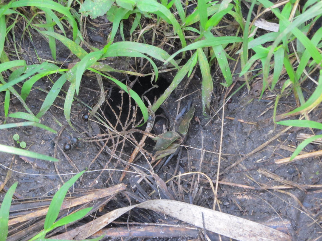 Oslo Riverfront Conservation Area (ORCA)-维罗海滩必去景点