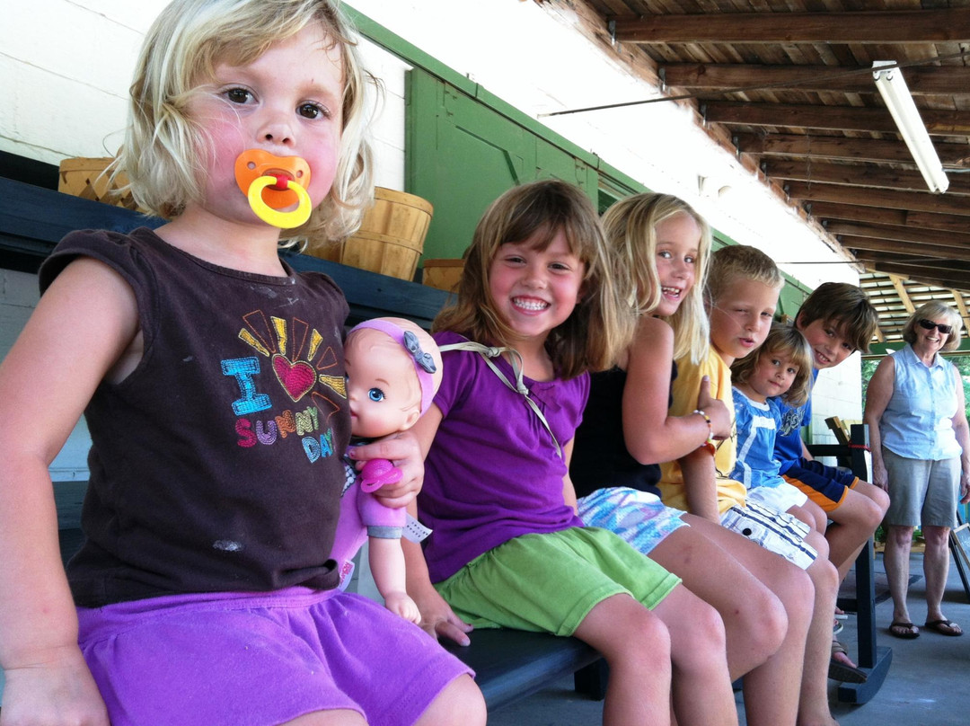 Lowcountry Store-Saint Helena Island必去景点