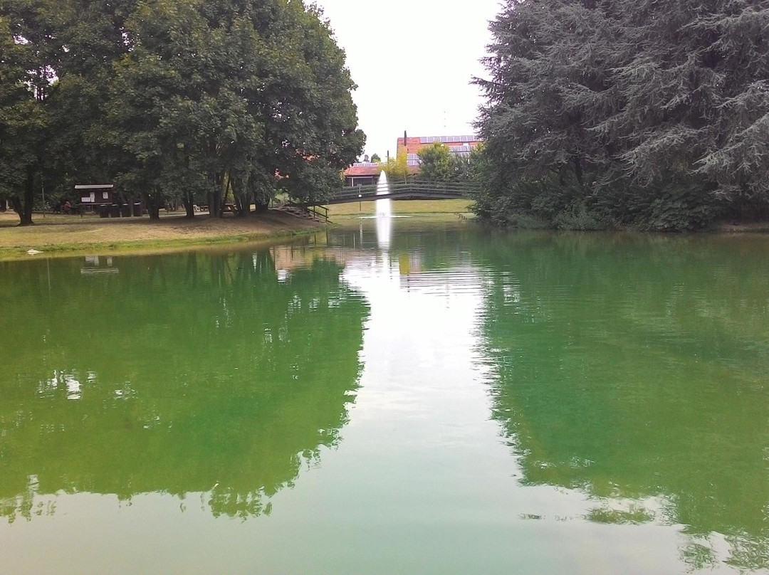 Parco Aldo Moro景点图片