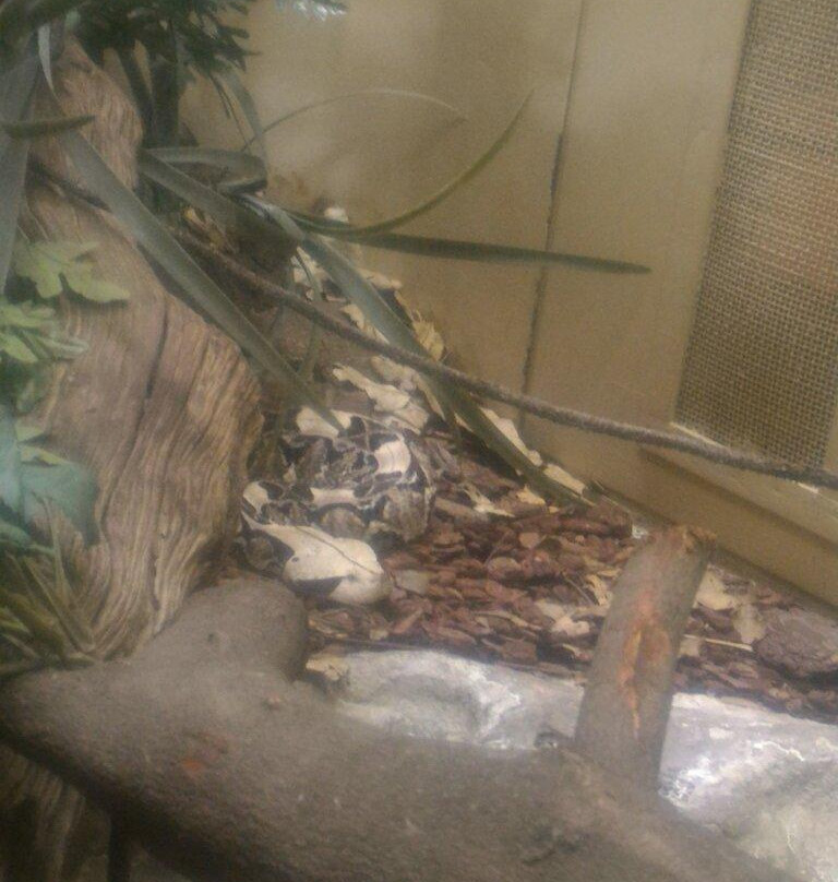 Bester Birds & Animals Zoo Park-比勒陀利亚必去景点