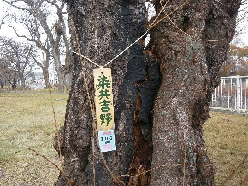 Aobagaoka Park-森町必去景点
