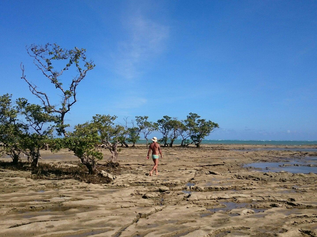 Ponta do Gamela Beach-Barra de Santo Antonio必去景点