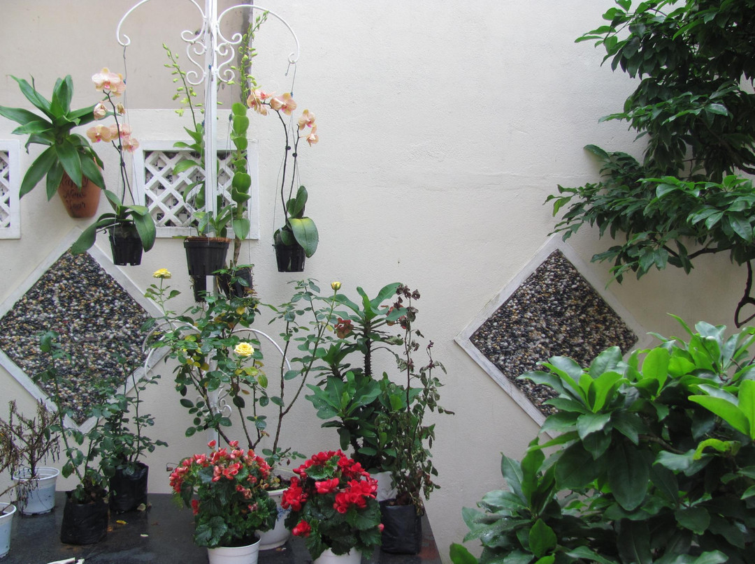 Sac Xanh Homestay主图