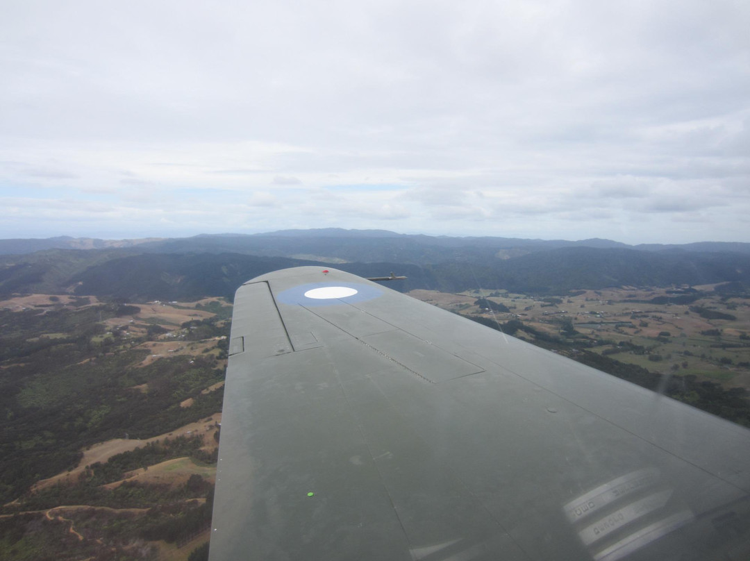 Warbird Adventure Rides-奥克兰中心地区必去景点