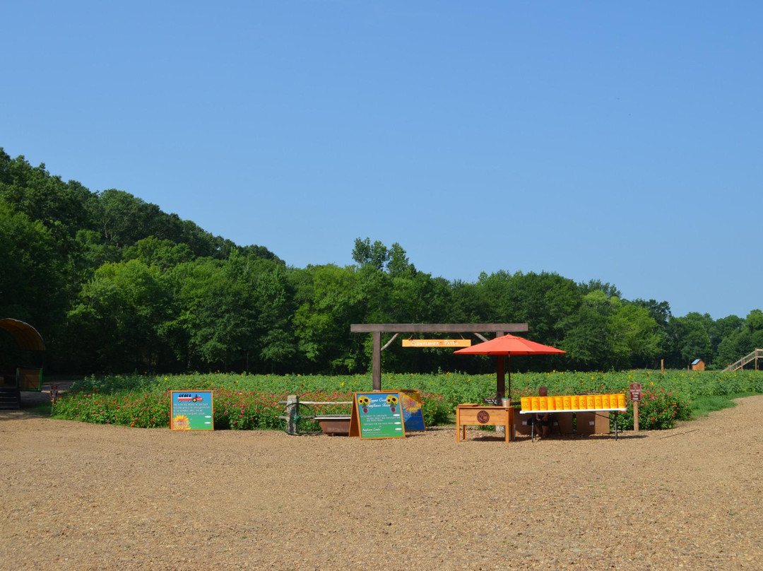 Copper Creek Farm-Calhoun必去景点