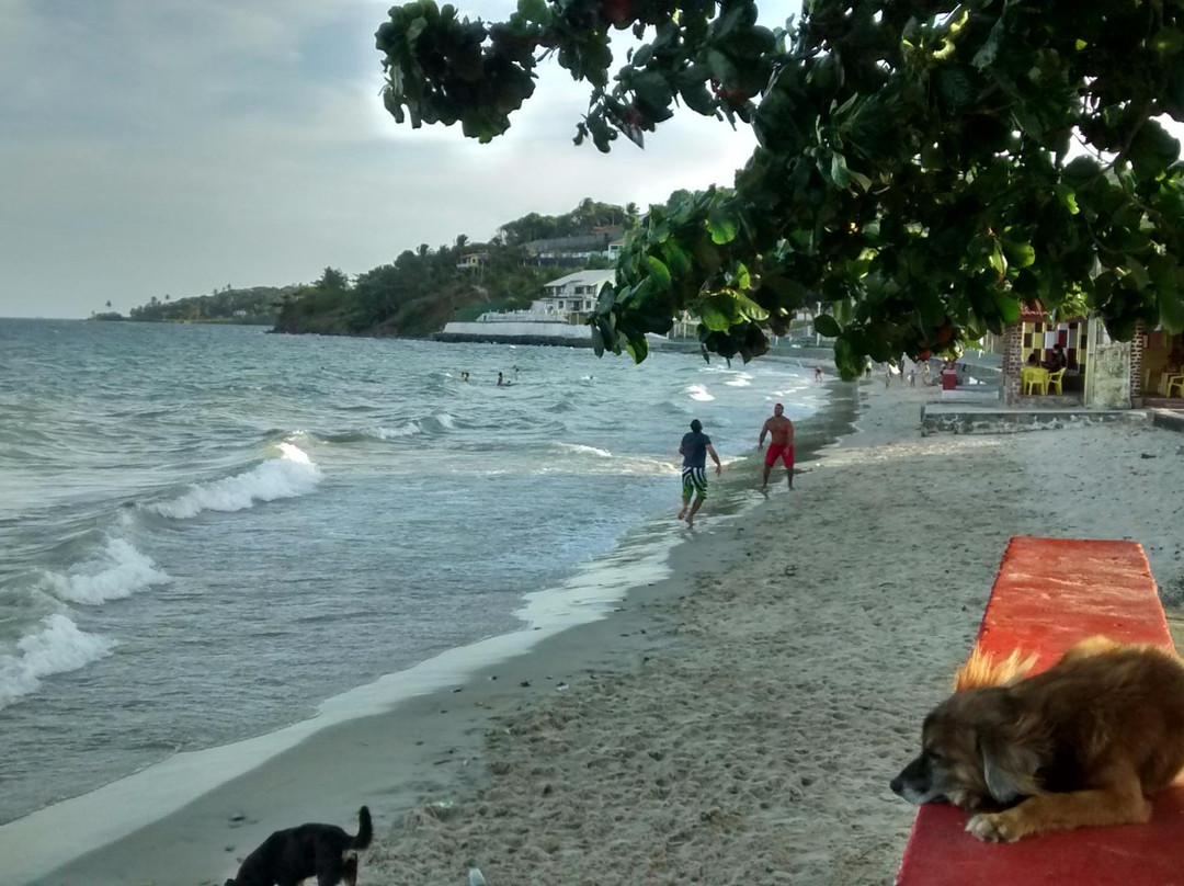 Gameleira Beach景点图片