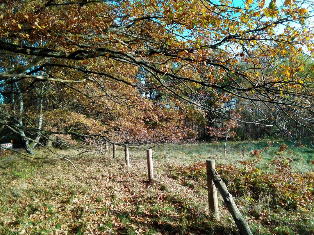 Naturschtuzgebiet Holtigbaum-汉堡必去景点