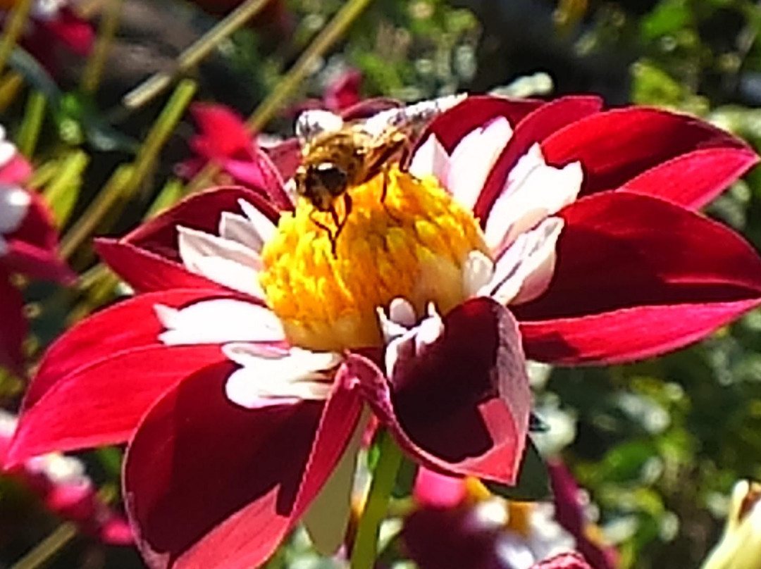 Ogano Town Tourism&Interaction Hall-小鹿野町必去景点
