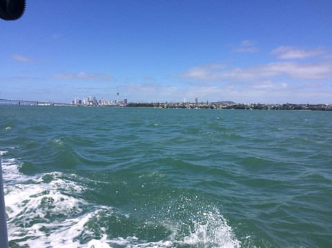 Riverhead Ferry-奥克兰必去景点