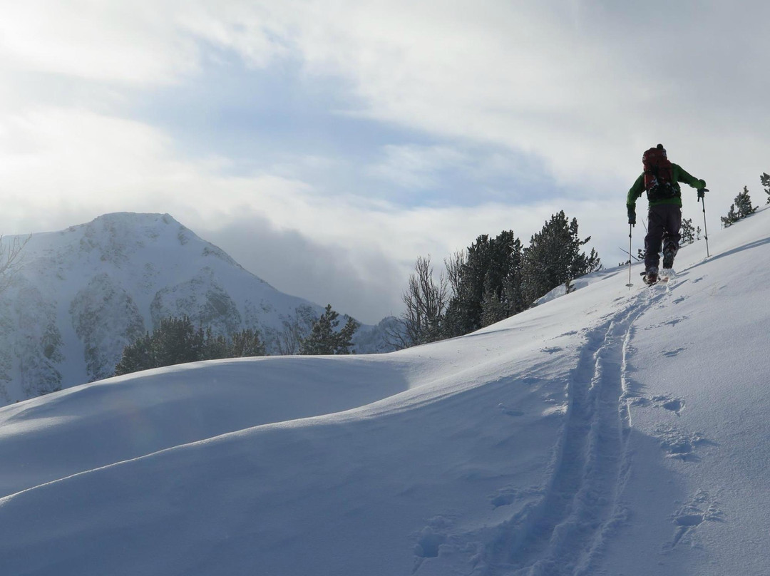 Bell Lake Yurt-博兹曼必去景点