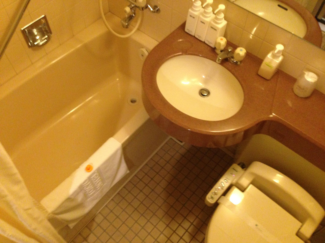 Shin-Matsudo Station Hotel主图