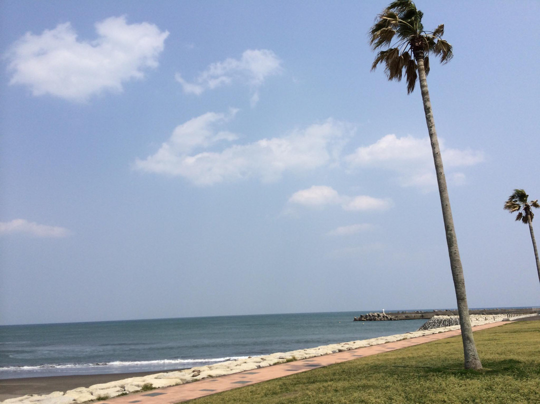 Miyazaki Waterfront Park-宫崎市必去景点