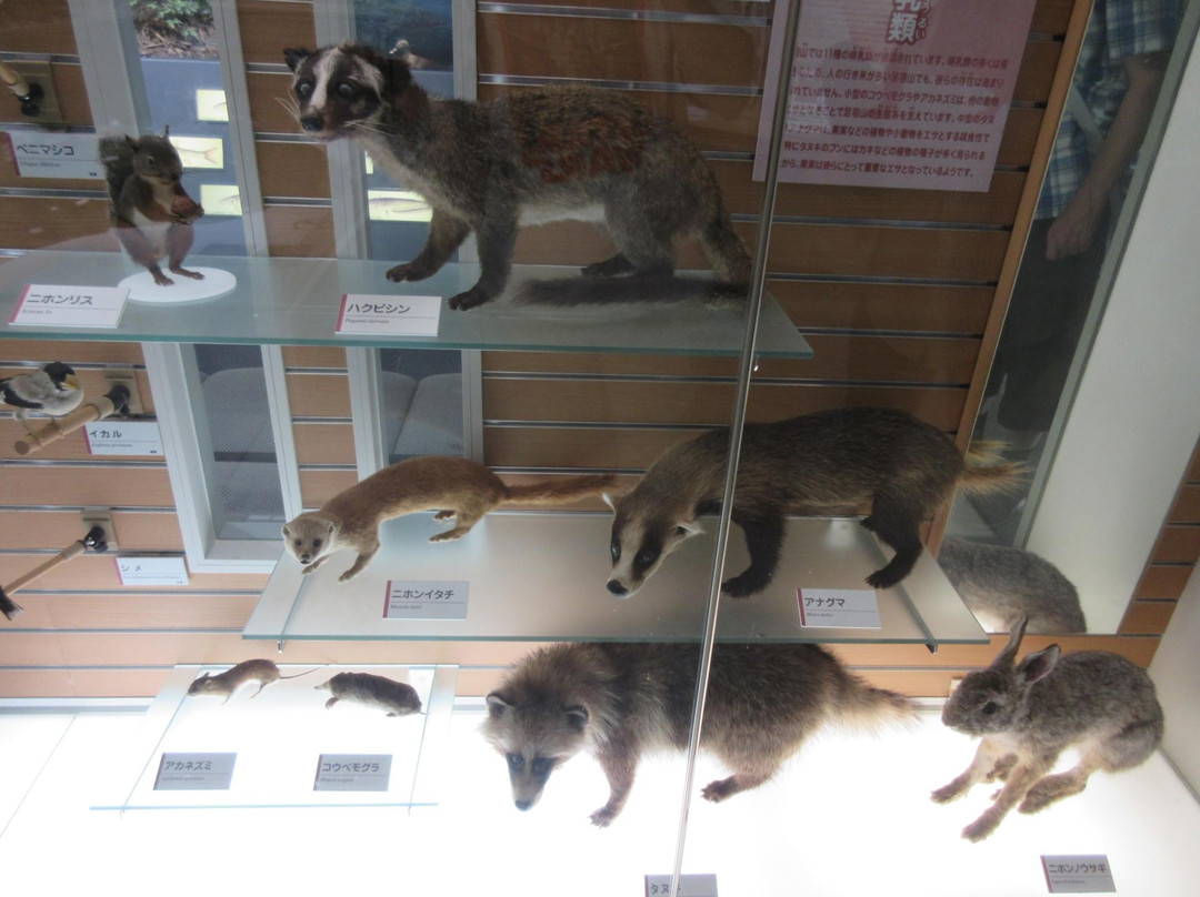 Fukui City Museum of Natural History景点图片
