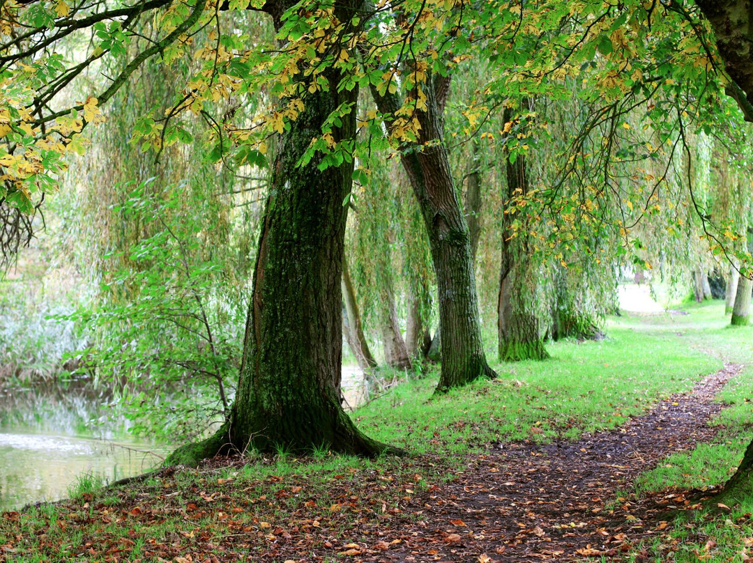 Winnall Moors Nature Reserve景点图片