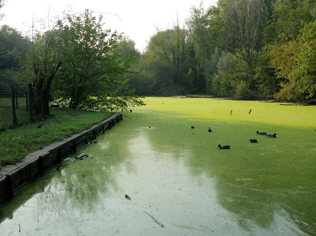 Parco della Vernavola景点图片