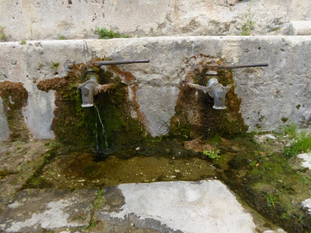 Fontaine Diane ou Hountélie景点图片