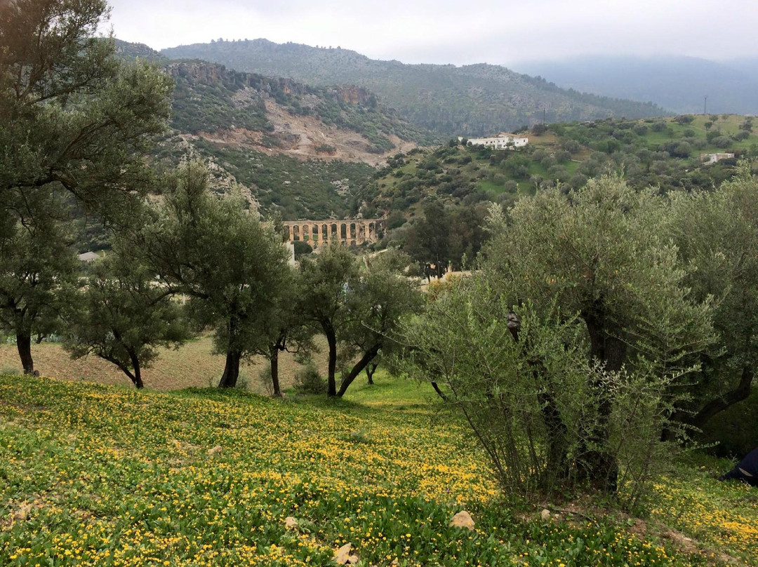 Haroune Aqueduct-Moulay Idriss必去景点