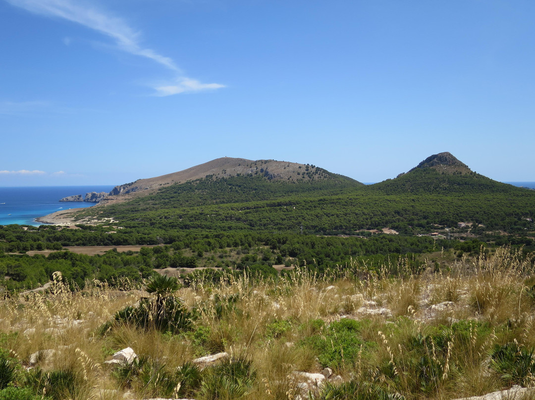 Talaia de Son Jaumell-Cala Ratjada必去景点