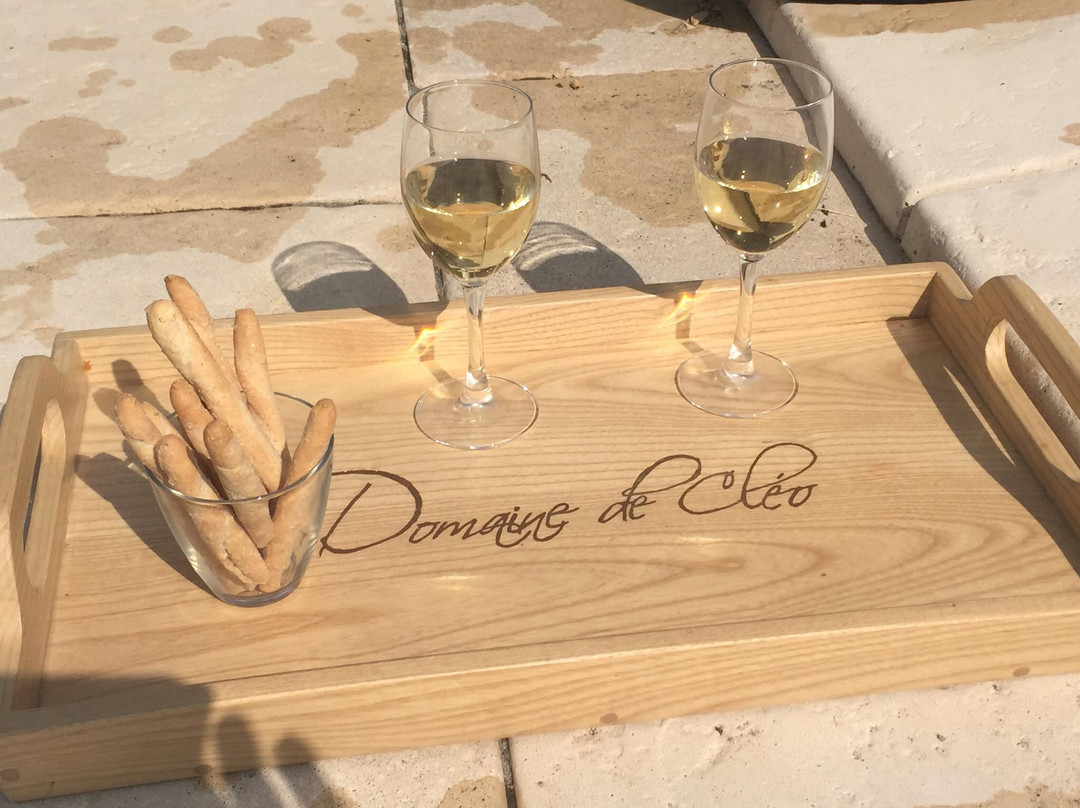 Domaine De Cleo主图