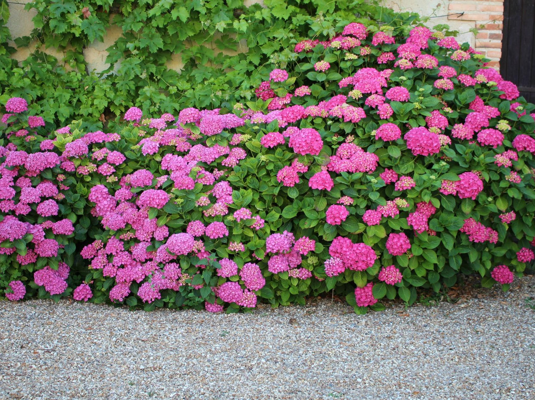 Manoir de Vaulx主图