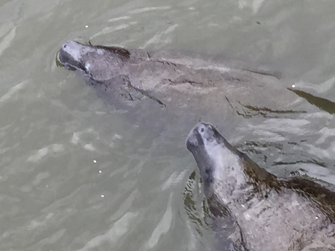 Round Island Beach Park-维罗海滩必去景点