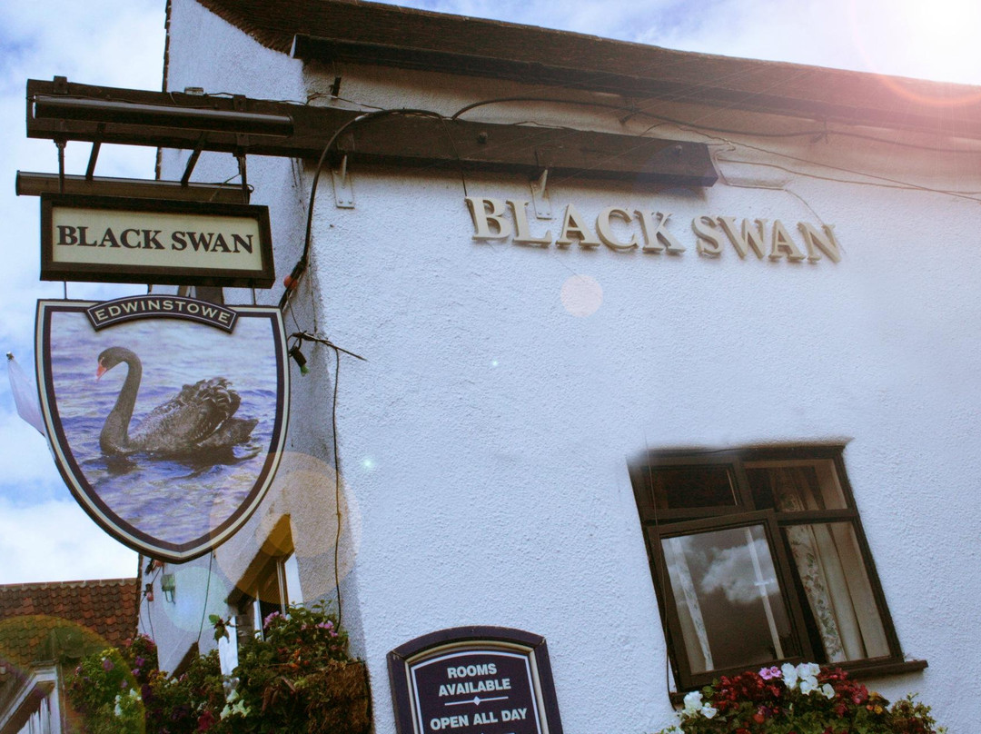 The Black Swan