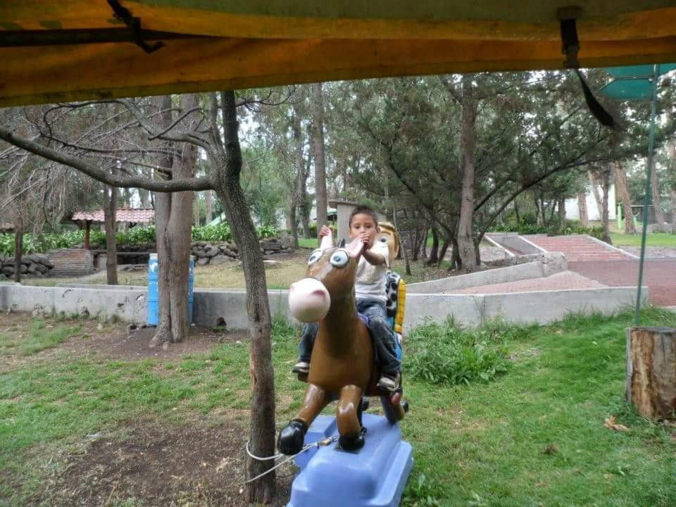 Parque De Los Ciervos景点图片