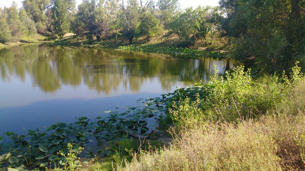 Volgograd Oblast旅游攻略图片