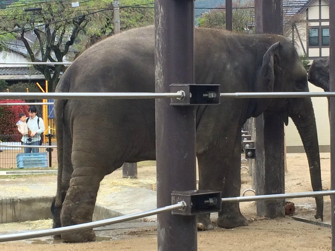 Tokuyama Zoo-周南市必去景点