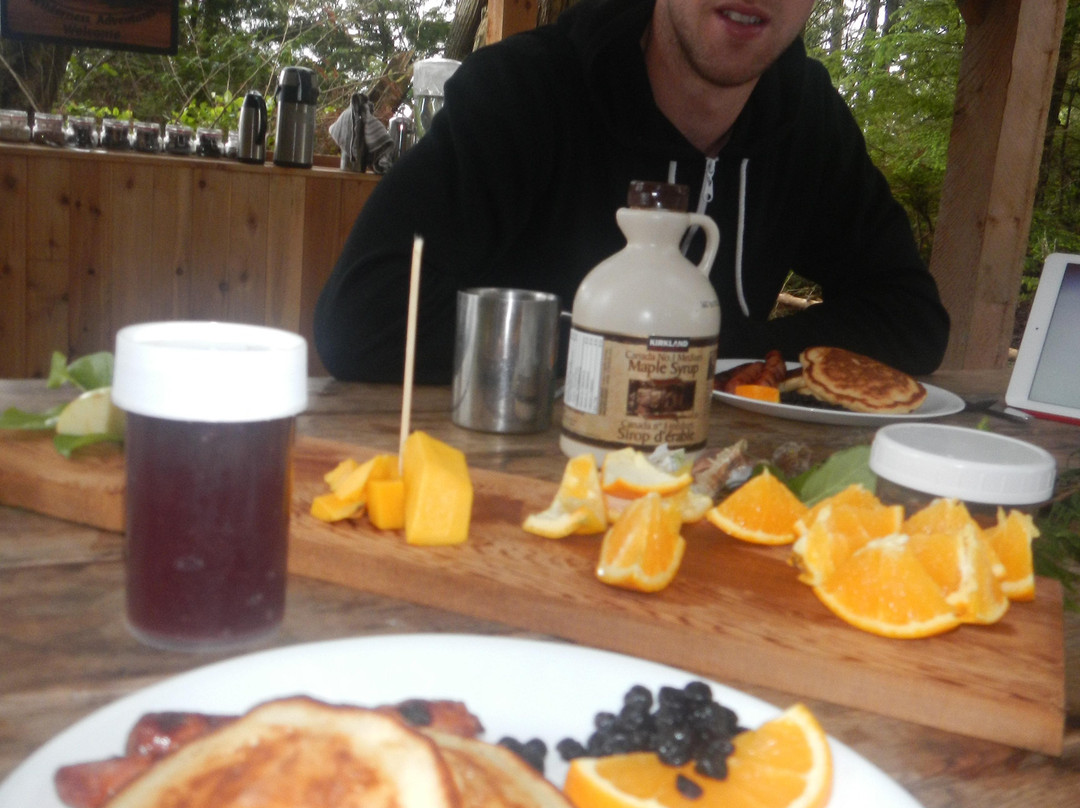 Kingfisher Wilderness Adventures-Port McNeill必去景点