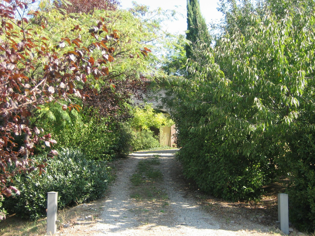 B&B del Parco主图
