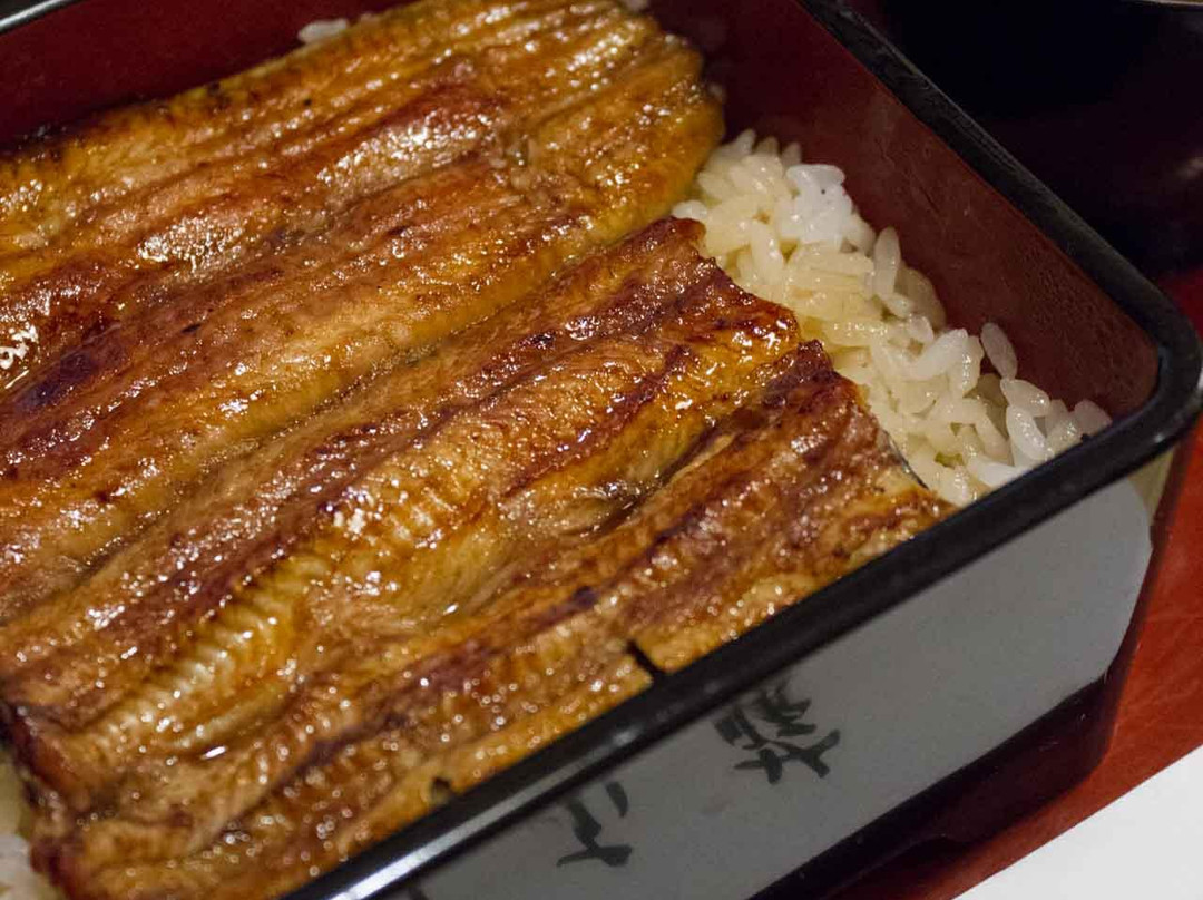うな藤
