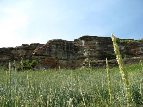 野牛碎头崖-麦克劳德堡必去景点