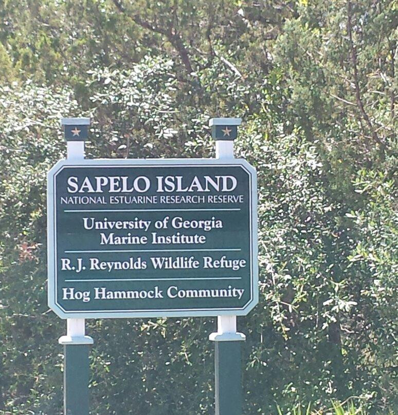 Sapelo Island Visitors Center景点图片