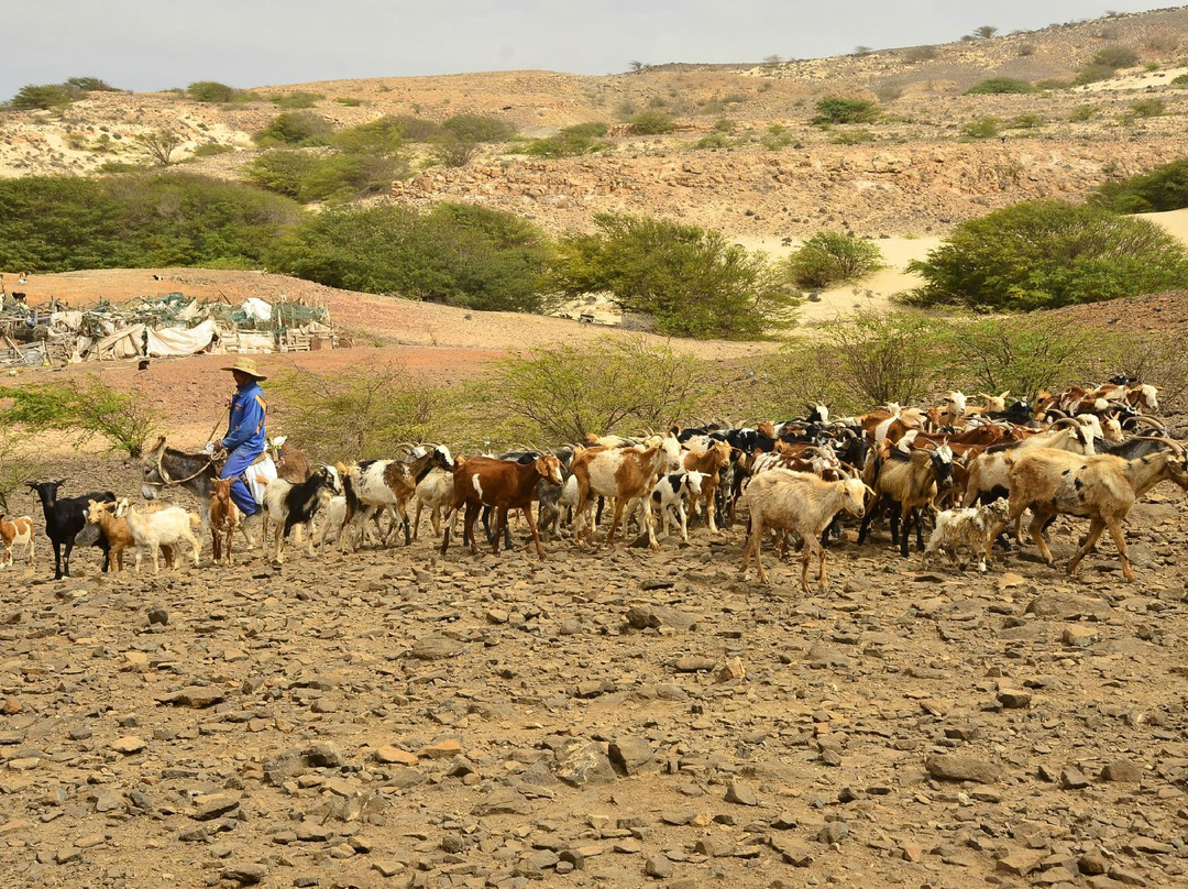 Brimatours - Day Tours-萨尔雷必去景点