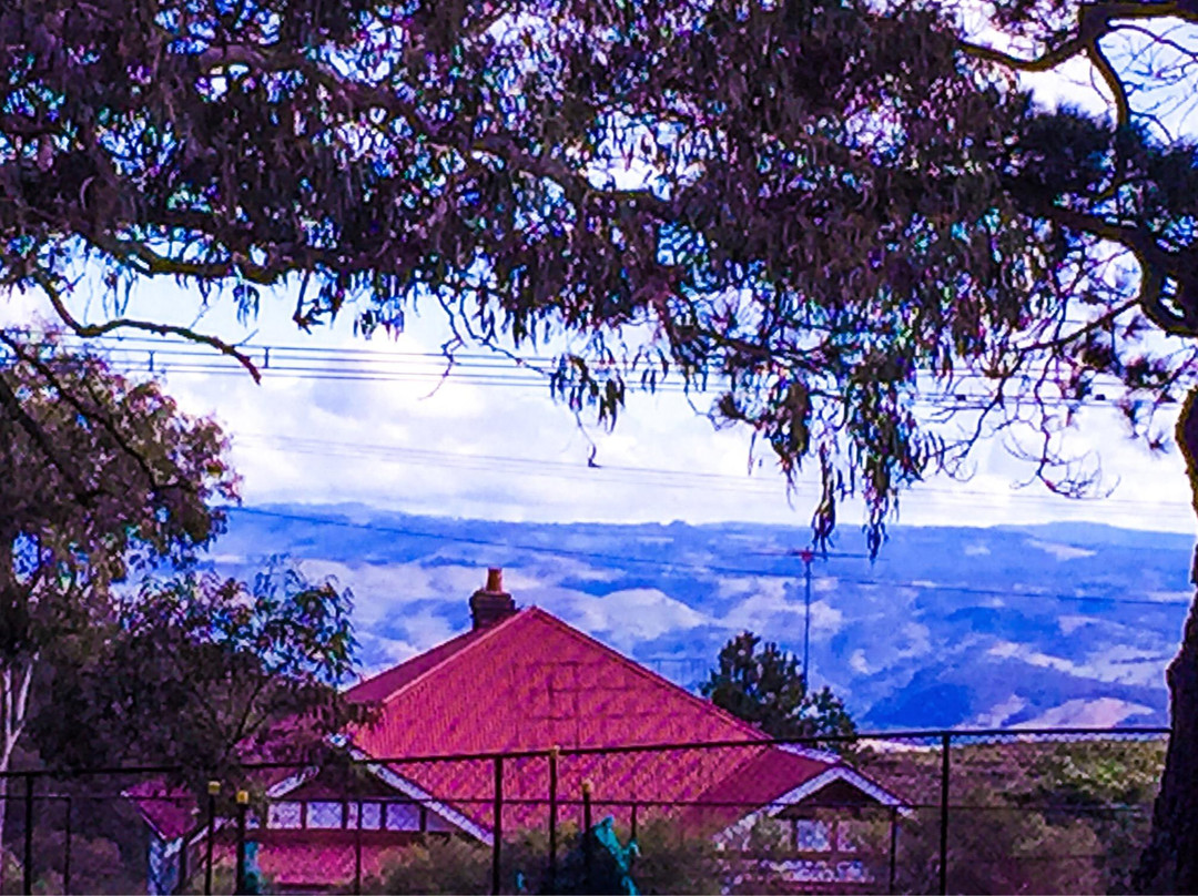 Logan Brae Orchard-布莱克希思必去景点