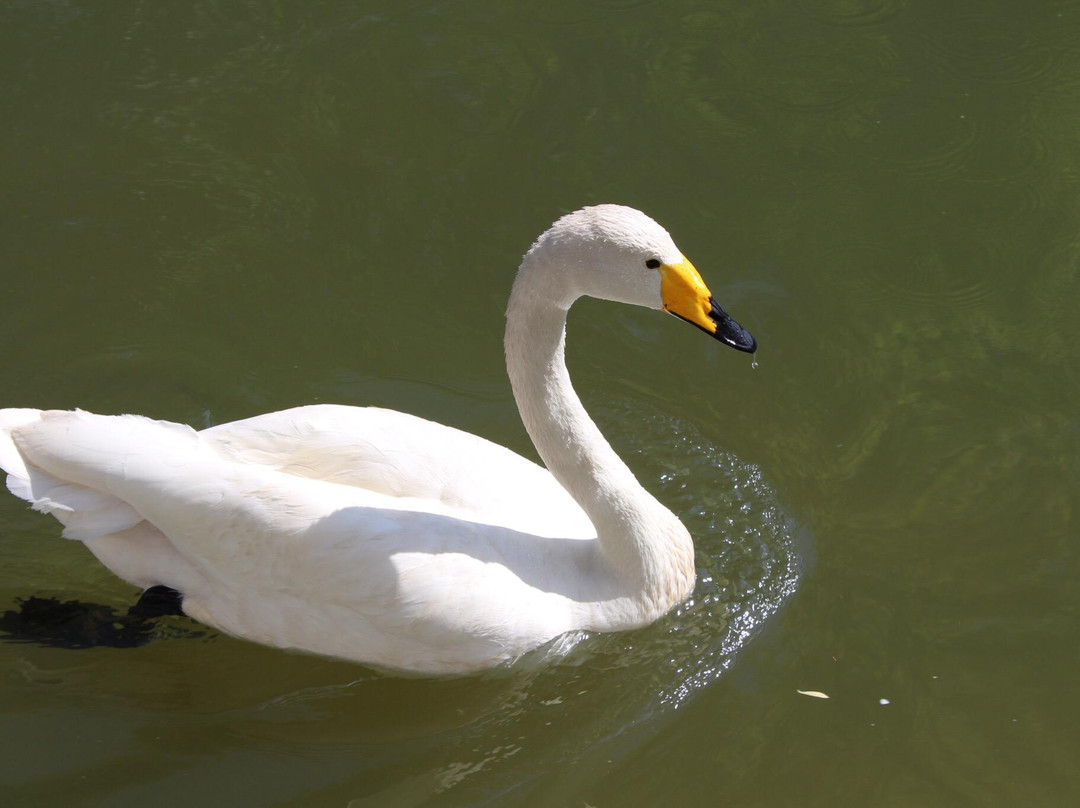 太原动物园-太原市必去景点