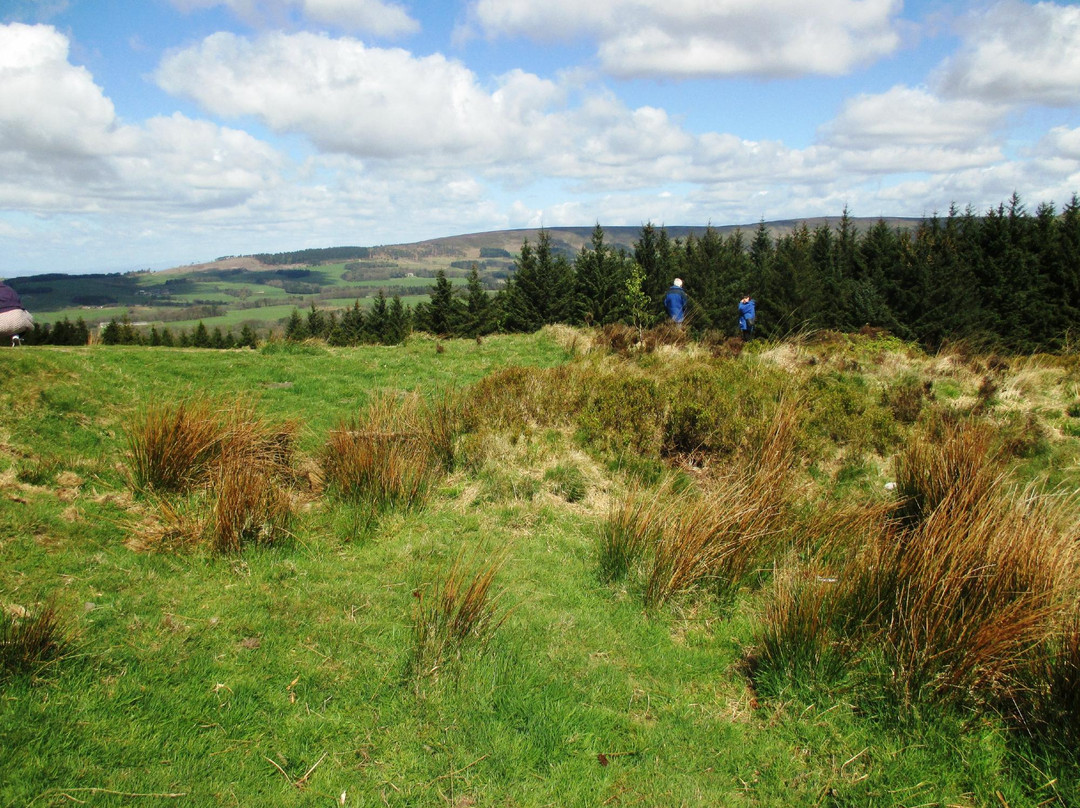 Beacon Fell Country Park景点图片