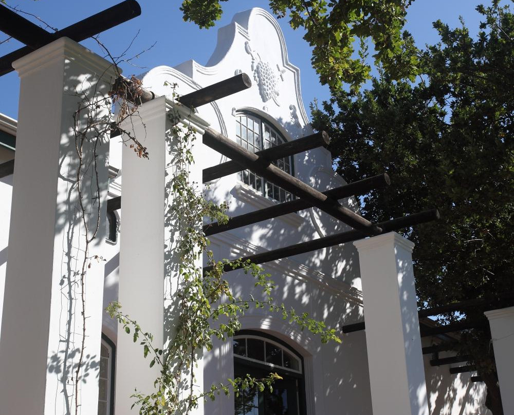 DeMorgenzon Winery-斯泰伦博斯必去景点