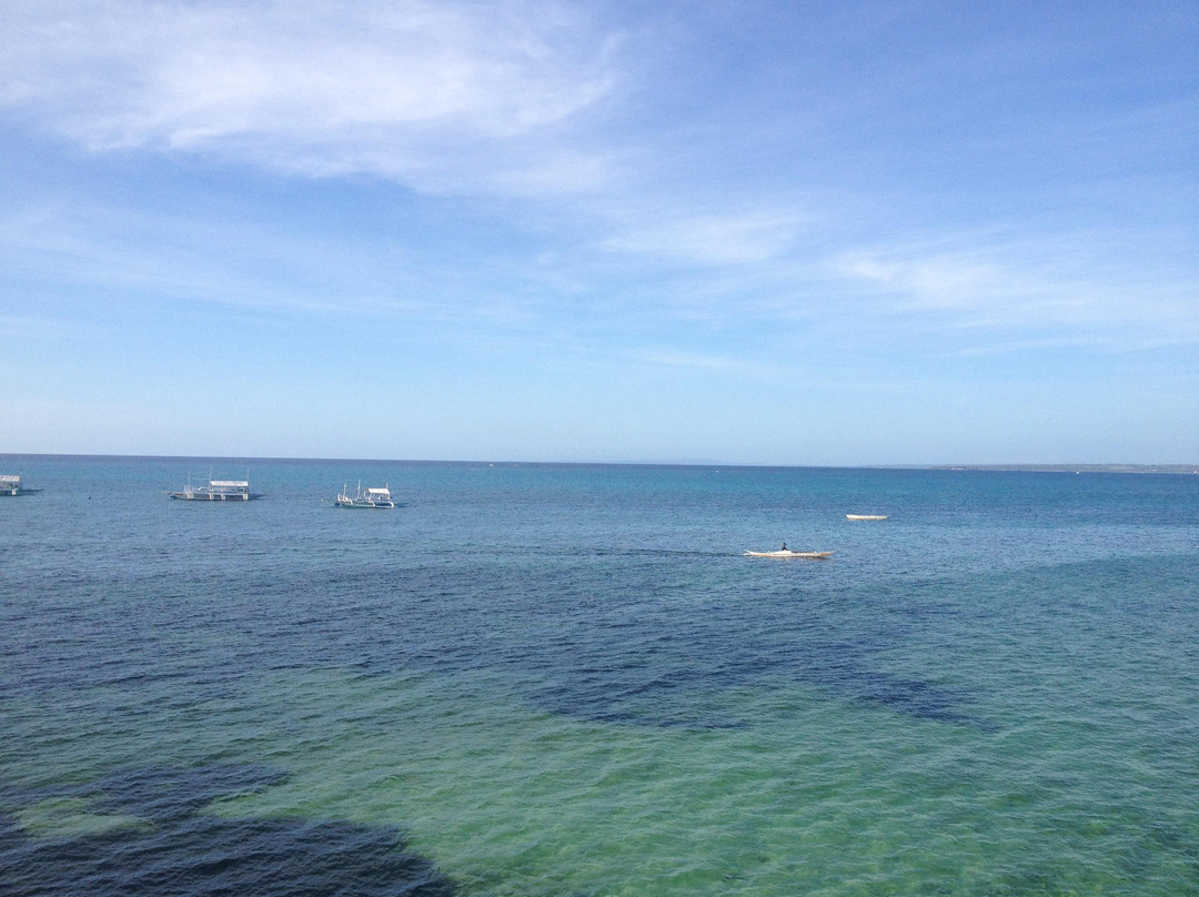 长尾鲨浮潜景点图片