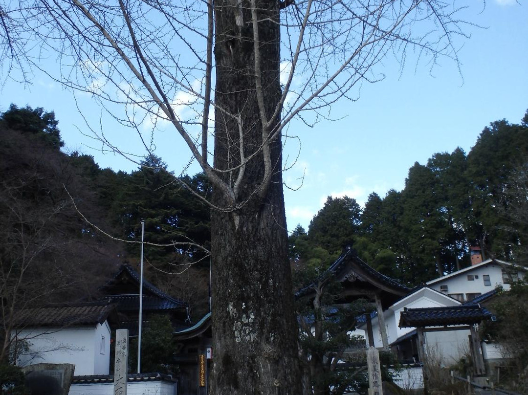 Daisho-ji Temple-美作市必去景点