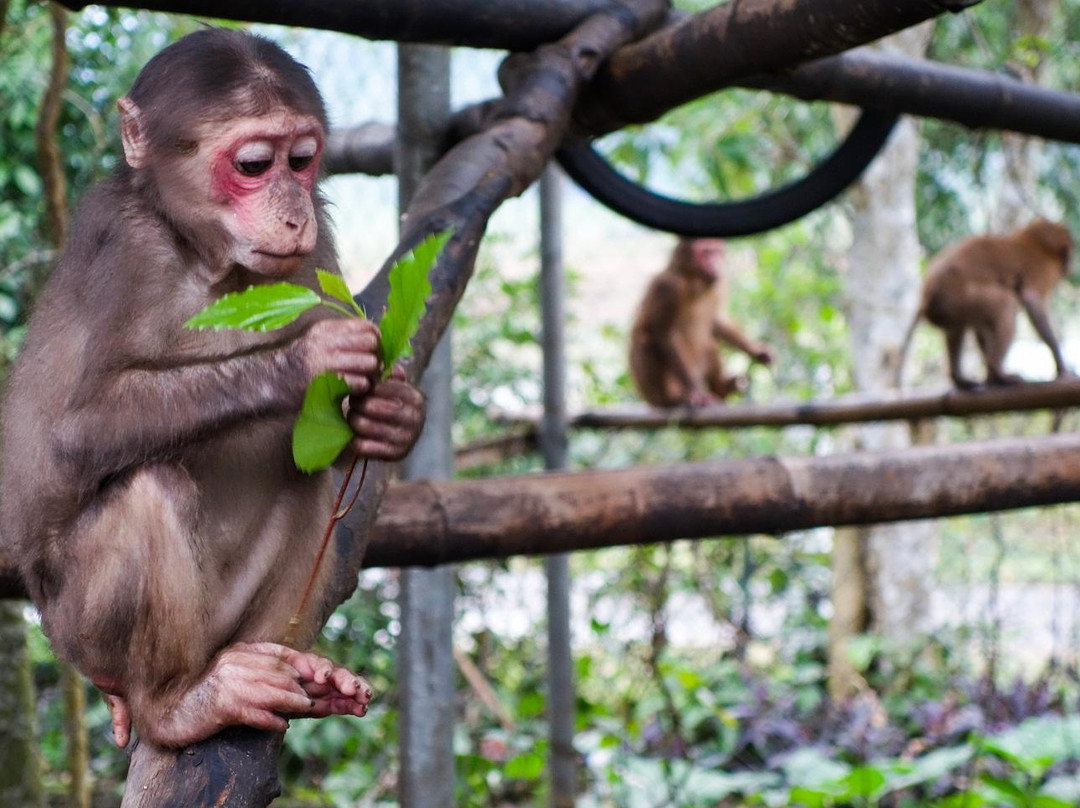 Wildlife And Jungle Adventure - Ecofoot景点图片