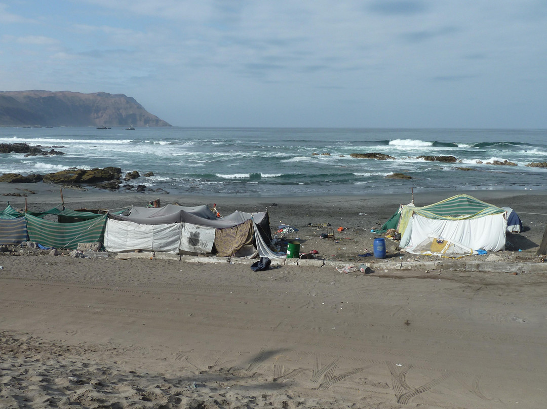 Playa Arenilla Negra-阿里卡必去景点
