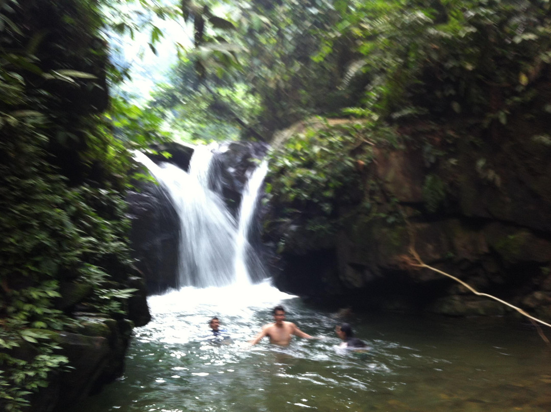 Sumatra Jungle Adventure景点图片
