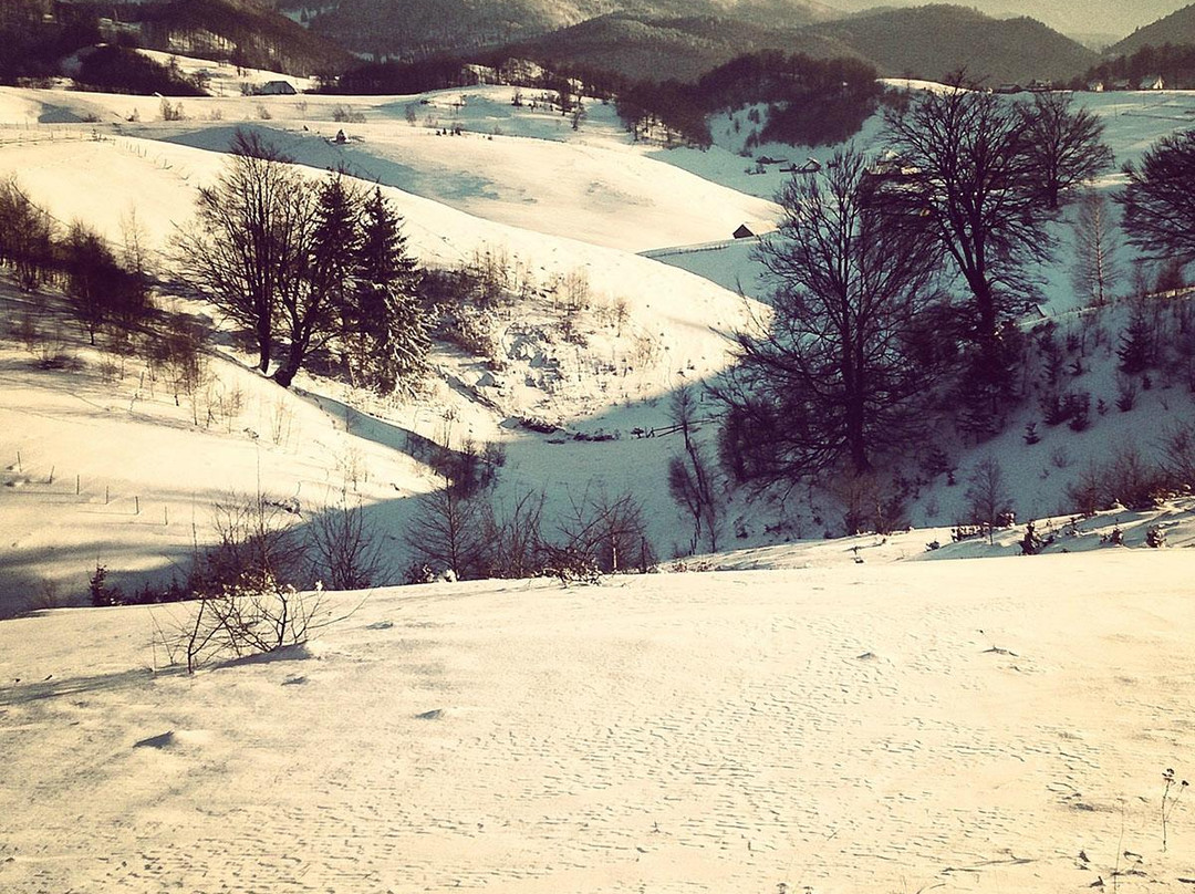 Pure Romania - Romania Tours景点图片
