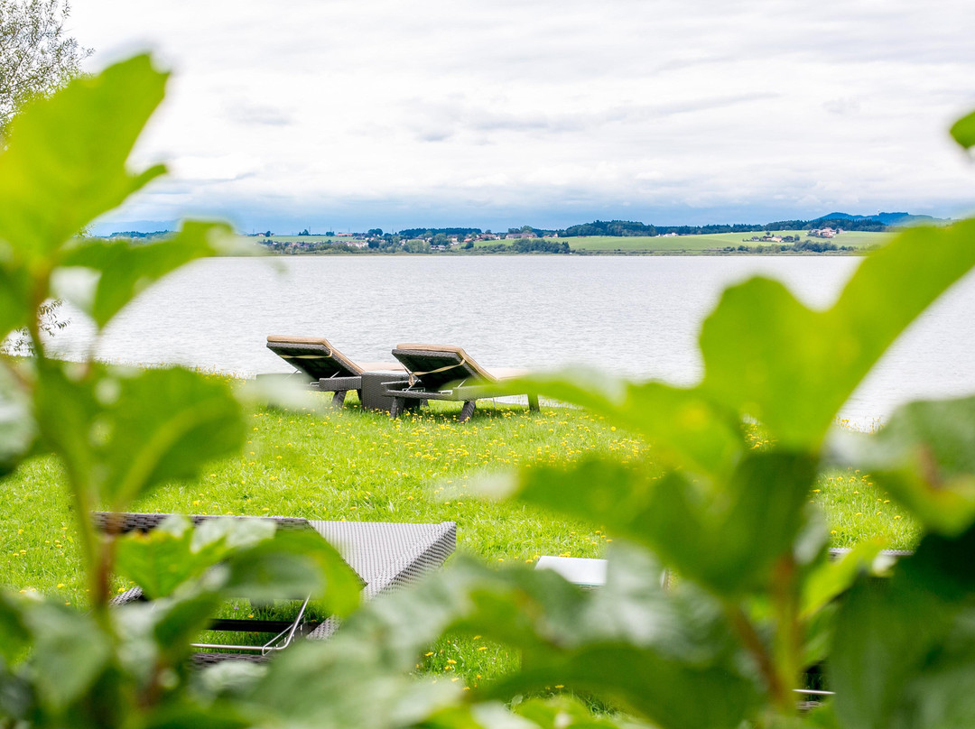 Hotel Seebrunn am Wallersee主图