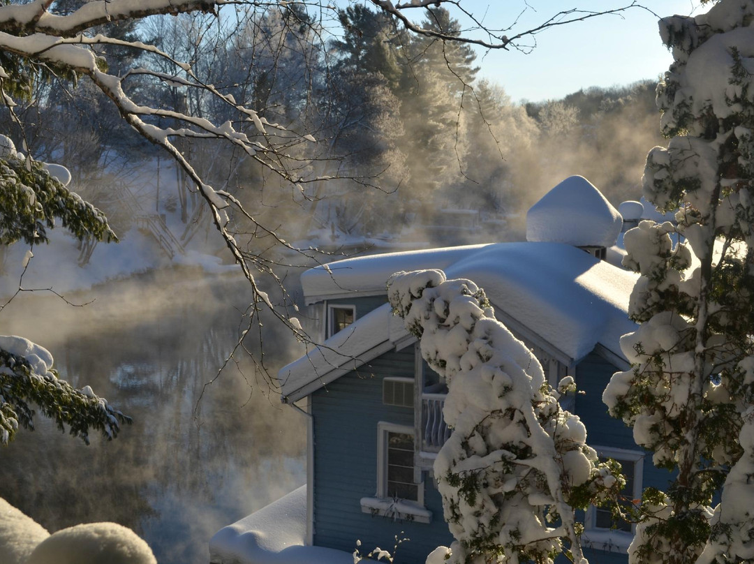 Port Sydney酒店住宿-Lillian's Cottage Bed and Breakfast